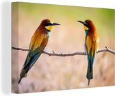 Canvas schilderij 140x90 cm - Wanddecoratie Vogels - Bijeneter - Dieren - Muurdecoratie woonkamer - Slaapkamer decoratie - Kamer accessoires - Schilderijen