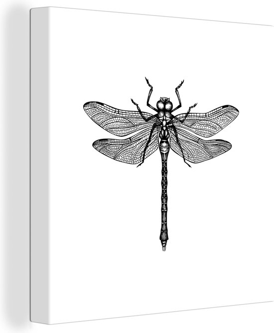 Canvas Schilderij Libelle - Insecten - Retro - Zwart wit - Wanddecoratie