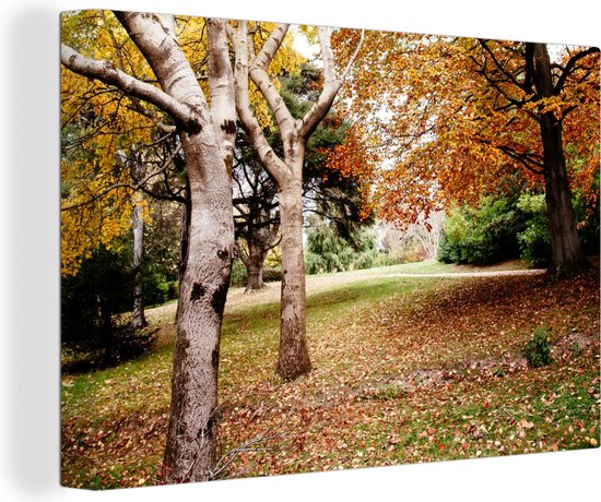 Tableau sur toile Automne - Arbres - Feuilles - nature - 140x90 cm - Décoration murale