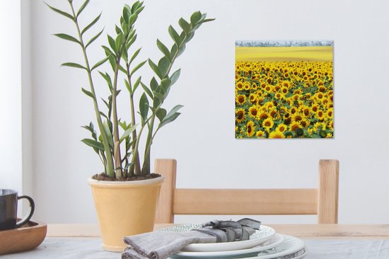 Tableau Toile Tournesol - Fleurs - Nature - 20x20 cm - Décoration murale