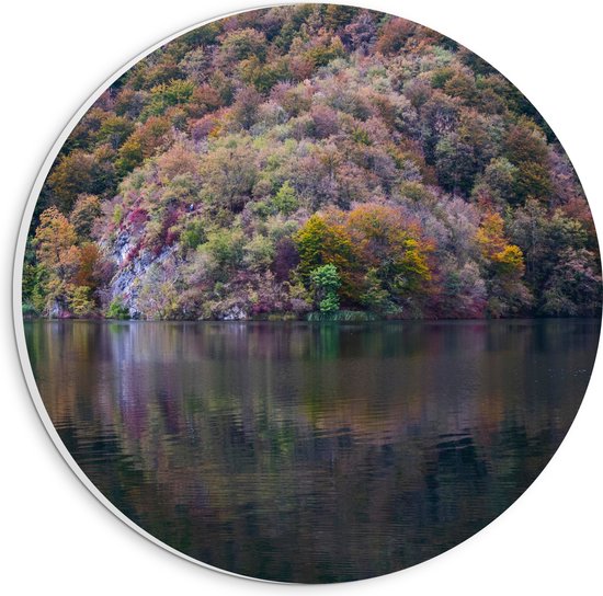WallClassics - Plaque de Mousse PVC Cercle Mural - Forêt Colorée sur l' Water - 20x20 cm Photo sur Cercle Mural (avec système d'accrochage)