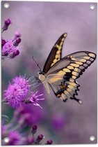 WallClassics - Tuinposter – Vlinder op Paarse Bloem - 40x60 cm Foto op Tuinposter  (wanddecoratie voor buiten en binnen)
