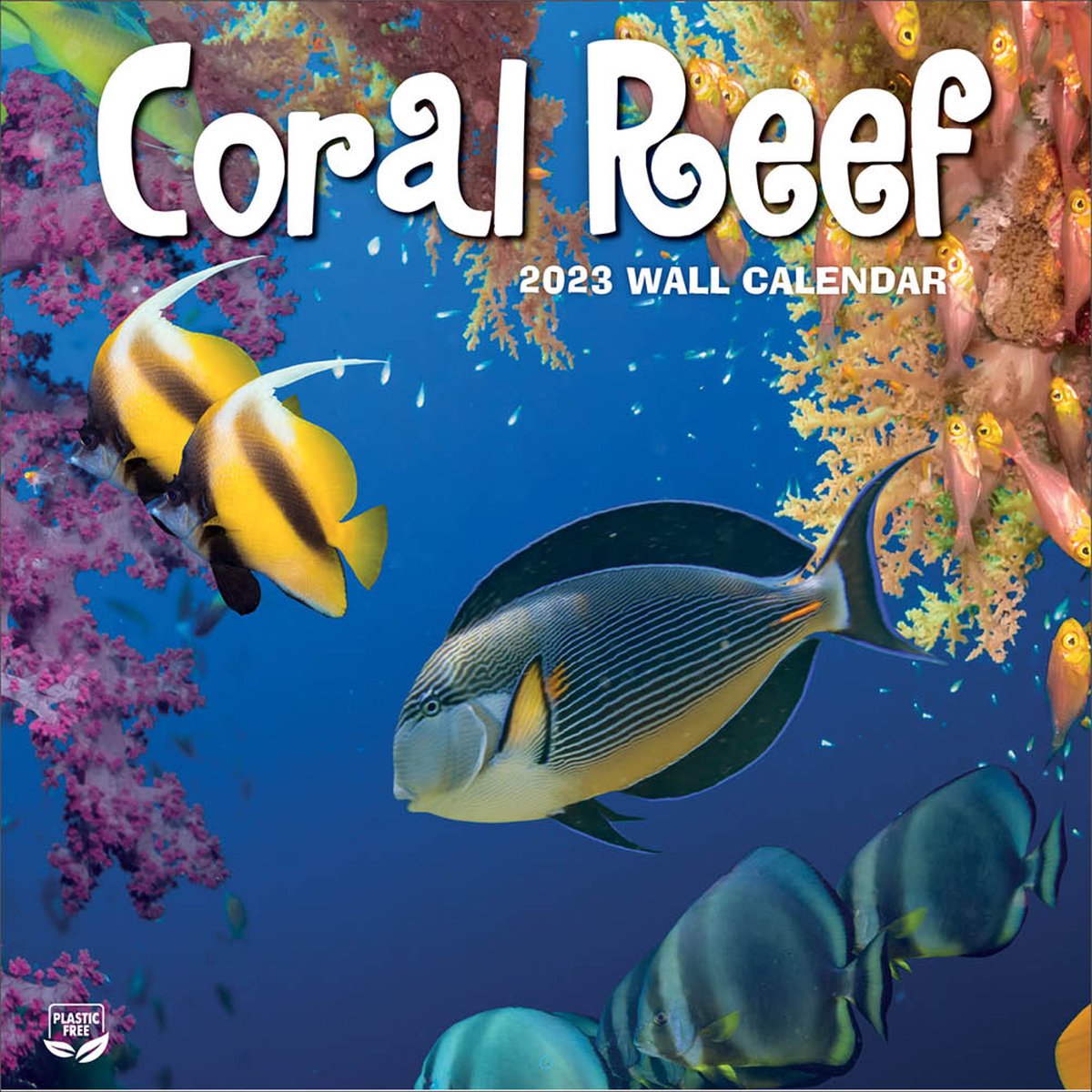 Coral Reef Kalender 2023