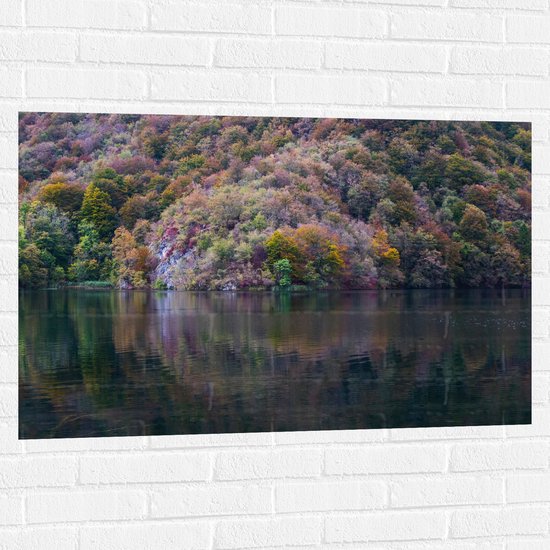 WallClassics - Muursticker - Gekleurde Bos aan het Water - 105x70 cm Foto op Muursticker