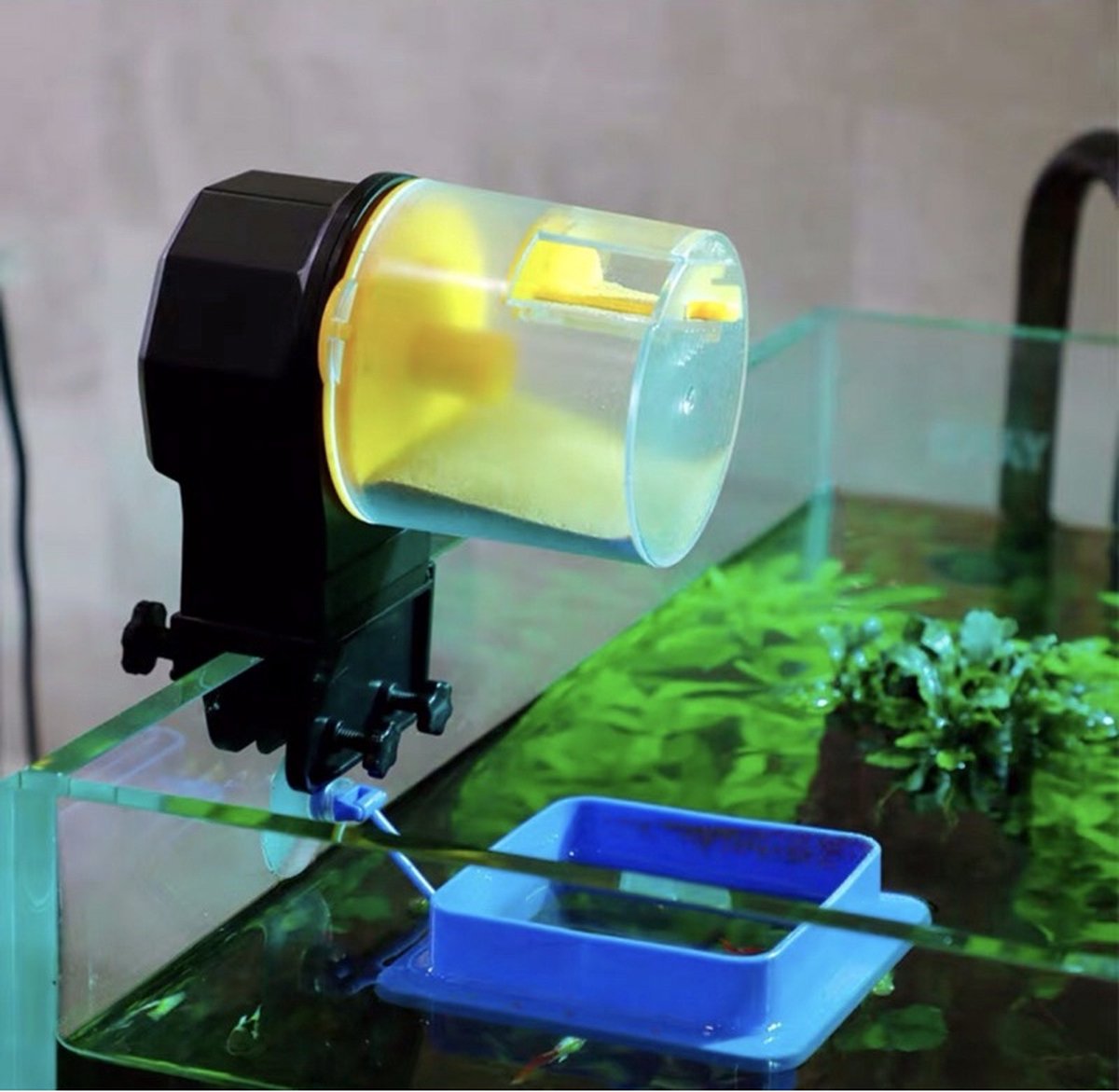 De beste aquarium voederautomaat: zorgeloos jouw vissen voeren