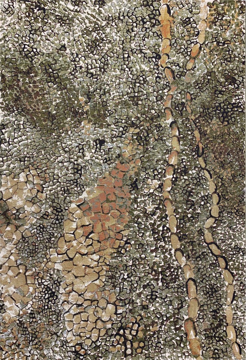 Aledin Carpets Kampala Vloerkleed 160x230 CM Laagpolig