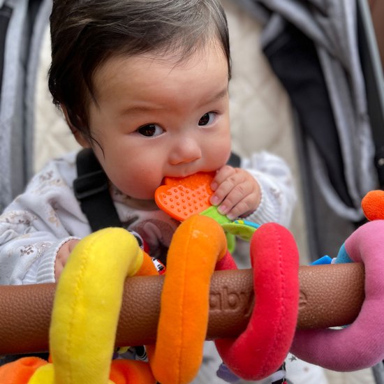 Playgro Boxspiraal Amazing Garden Twirly Whirly - Kinderwagen Speeltje - Speelgoed baby - Baby speelgoed - Activiteitenspiraal baby speelgoed 6 maanden -baby speelgoed 1 jaar - Baby kinderwagen