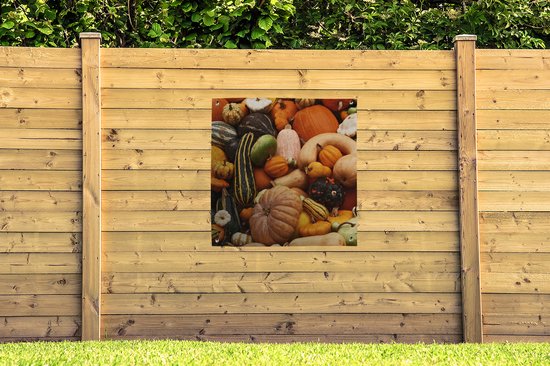 Tuinposter 100x100 cm - Tuindecoratie Pompoen - Herfst - Oranje - Poster voor in de tuin - Buiten decoratie - Schutting tuinschilderij - Tuindoek muurdecoratie - Wanddecoratie balkondoek