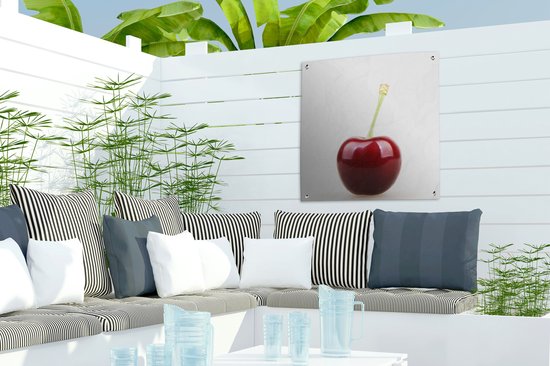 Affiche de jardin Cerisier solitaire avec une tige verte 50x50 cm - petit - Toile de jardin / Toile d'extérieur / Peintures pour l'extérieur (décoration de jardin)