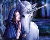 Diamond Painting Girl and Unicorn 50x40 cm vierkante steentjes