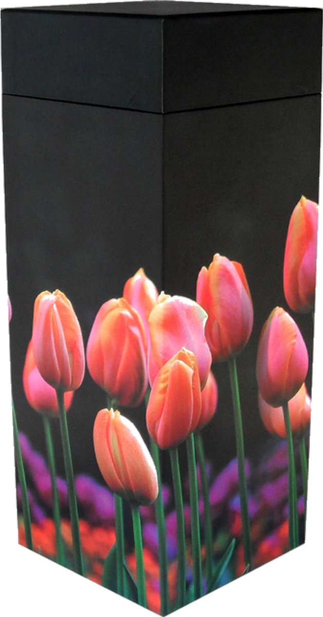 Urn Urnen Grote Strooikoker 39x13 Strooibus Bewaarkoker voor volledige asbus Eco Milieuvriendelijk Biologisch afbreekbaar Tulpen