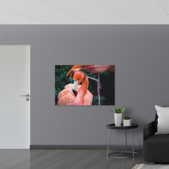 WallClassics - Poster (Matte) - Beautiful Pink Flamingo - 120x80 cm Photo sur Papier Poster avec un aspect Mat