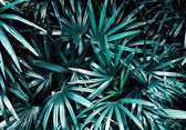 Fotobehangkoning - Fotobehang - Exotische Groene Bladeren - Planten - Jungle -  152,5 x 104 cm - Vliesbehang