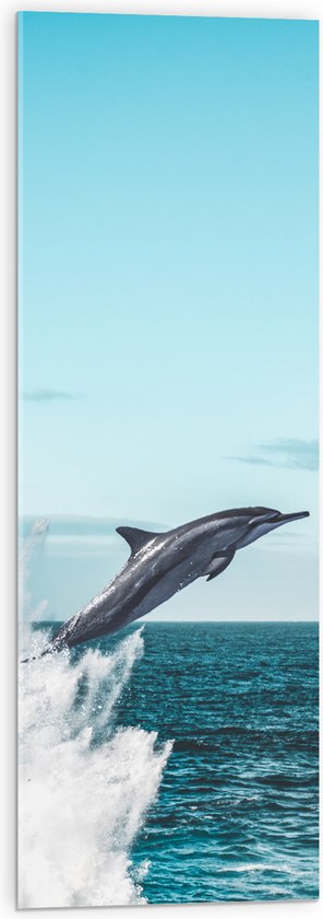 WallClassics - Acrylglas - Dolfijn Springend uit de Zee - 30x90 cm Foto op Acrylglas (Wanddecoratie op Acrylaat)