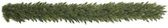 Triumph Tree Forest Frosted Guirlande - L180 cm - Groen