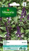 Vilmorin - Basilicum Blue Spice - V501