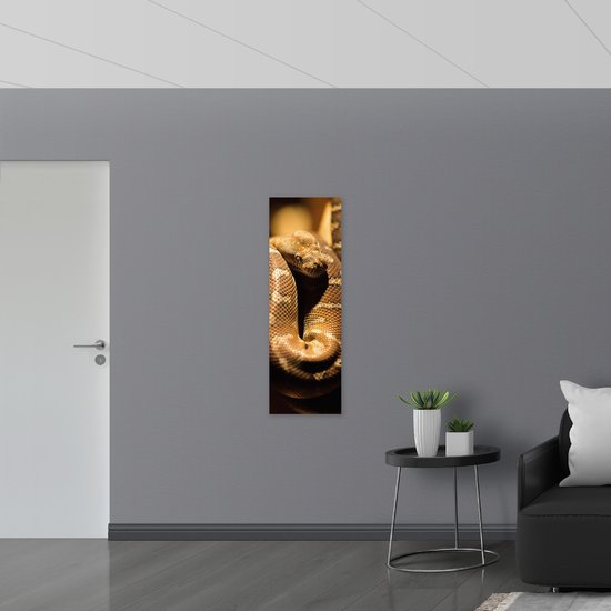 WallClassics - Poster (Matte) - Serpent Marron - 40x120 cm Photo sur Papier Poster avec un aspect Mat
