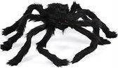 Nepspin groot met Spinnenweb - Reuze Halloween Spin - Grote Nep Spin - 30cm - Halloween decoratie