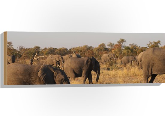 WallClassics - Hout - Kudde Afrikaanse Olifanten - 90x30 cm - 12 mm dik - Foto op Hout (Met Ophangsysteem)