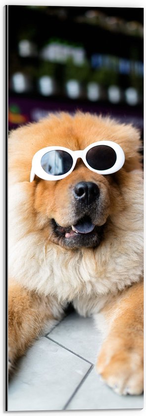 WallClassics - Dibond - Coole Hond met Zonnebril - 20x60 cm Foto op Aluminium (Met Ophangsysteem)