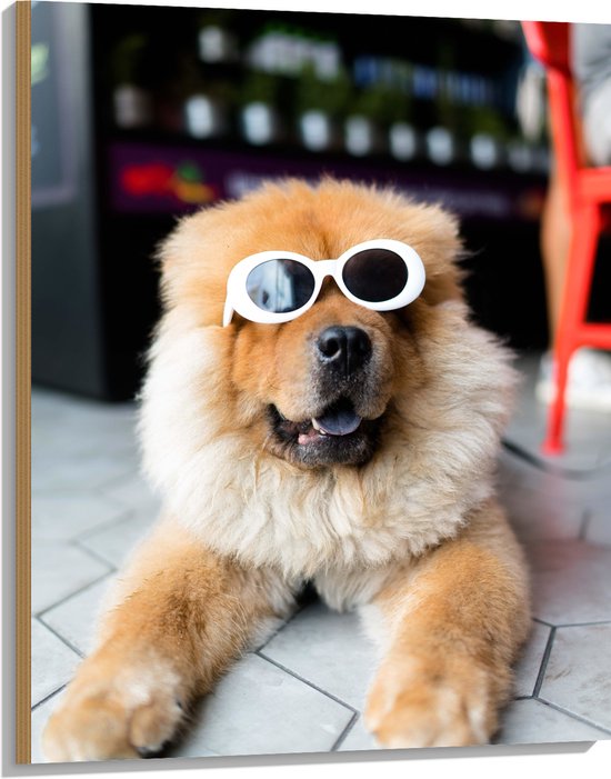 WallClassics - Hout - Coole Hond met Zonnebril - 75x100 cm - 12 mm dik - Foto op Hout (Met Ophangsysteem)