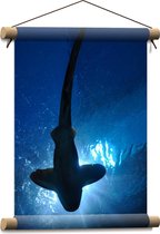 WallClassics - Textielposter - Haai in het Water - 30x40 cm Foto op Textiel