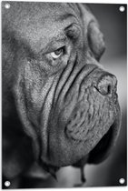 WallClassics - Tuinposter – Bordeaux hond Zwart / Wit - 50x75 cm Foto op Tuinposter  (wanddecoratie voor buiten en binnen)