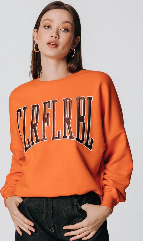 Patch Colourful Rebel Sweater Dames Colourful Rebel Trui