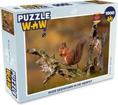 Puzzel Rode eekhoorn in de herfst - Legpuzzel - Puzzel 1000 stukjes volwassenen