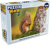 Puzzel Rode eekhoorn naast de boom - Legpuzzel - Puzzel 1000 stukjes volwassenen