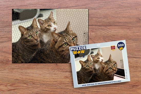 Puzzle 500 pièces : chatons avec des fleurs Castorland