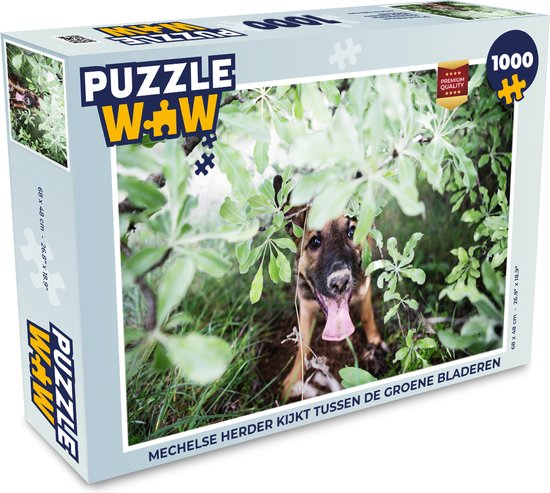 Puzzel Mechelse herder kijkt tussen de groene bladeren - Legpuzzel - Puzzel  1000... | bol.com