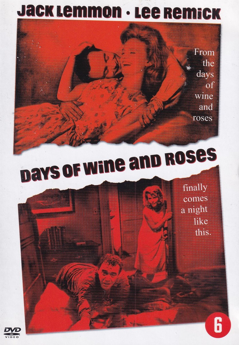 DAYS OF WINE AND ROSES /S DVD NL