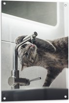 WallClassics - Tuinposter – Poes aan het Drinken uit de Kraan - 60x90 cm Foto op Tuinposter  (wanddecoratie voor buiten en binnen)