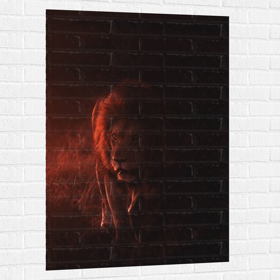 WallClassics - Muursticker - Leeuw in de Nacht - 80x120 cm Foto op Muursticker