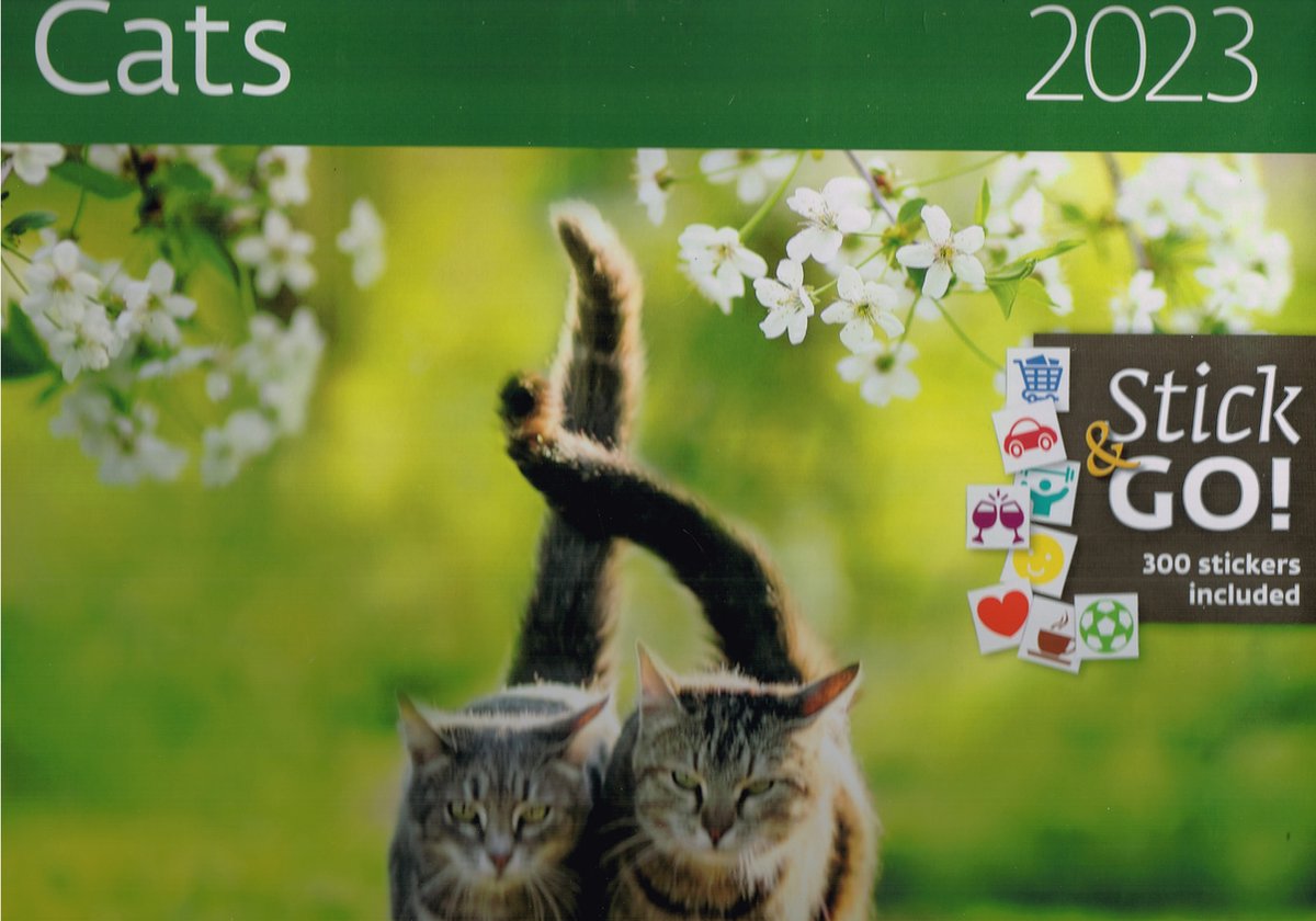 CA01-23 Kalender 30 x 30 cm Katten