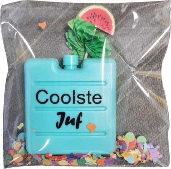 Foto: Coolpack koelelement coolste juf assorti kleur