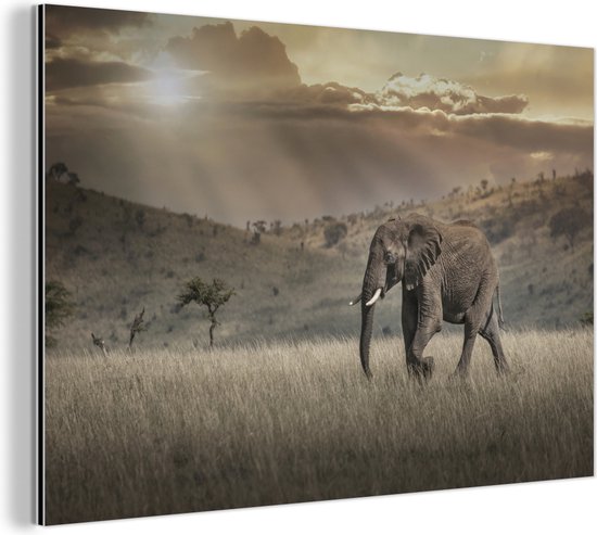 Wanddecoratie Metaal - Aluminium Schilderij Industrieel - Olifant in het savannegebied in het Masai Mara National Park in Kenia - 60x40 cm - Dibond - Foto op aluminium - Industriële muurdecoratie - Voor de woonkamer/slaapkamer