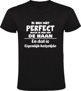 Ik ben niet perfect De Haan Heren T-shirt | achternaam | jarig | verjaardag | naam | grappig | Zwart