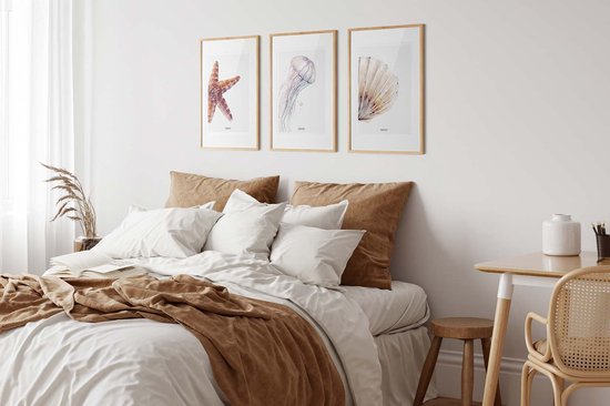 Fabrikten Poster - Plage - Étoile de Mer - Crème/ Oranje/Rouge - A4