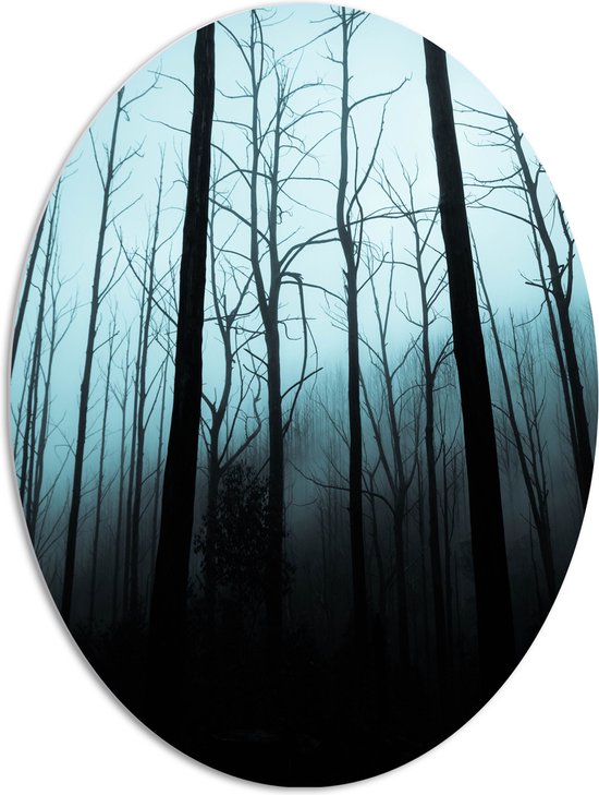 WallClassics - Panneau de mousse PVC ovale - Forêt sombre - 72x96 cm Photo sur ovale (avec système de suspension)