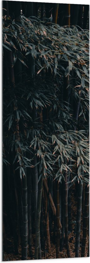 WallClassics - Acrylglas - Donkere Bamboe Bomen - 50x150 cm Foto op Acrylglas (Met Ophangsysteem)