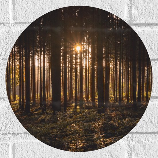 WallClassics - Muursticker Cirkel - Ondergaande Zon tussen de Bomen - 30x30 cm Foto op Muursticker