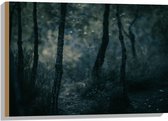 WallClassics - Hout - Dunne Takken in Donker Bos - 75x50 cm - 12 mm dik - Foto op Hout (Met Ophangsysteem)