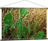 WallClassics - Textielposter - Cactusplanten in het Veld - 90x60 cm Foto op Textiel