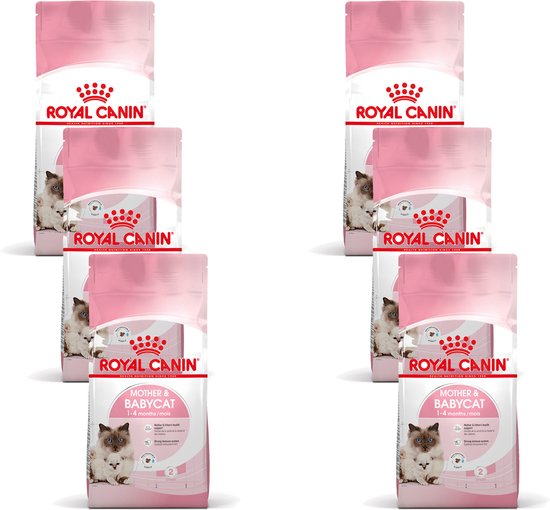 Zes zakken Royal Canin Mother & Babycat kittenvoer, opgesteld in twee kolommen van drie.