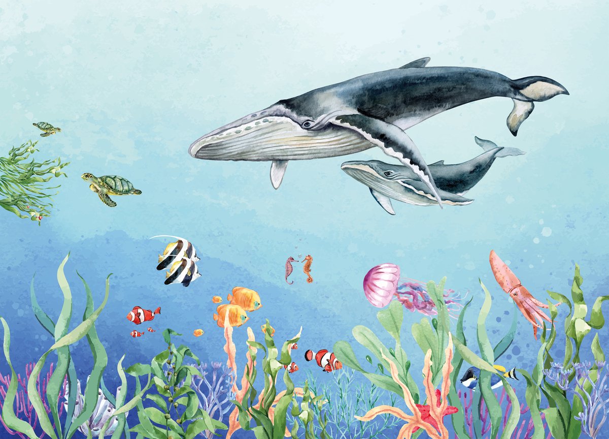Walloha - Behang kinderkamer - Diep in de zee - 389,6 x 280 cm