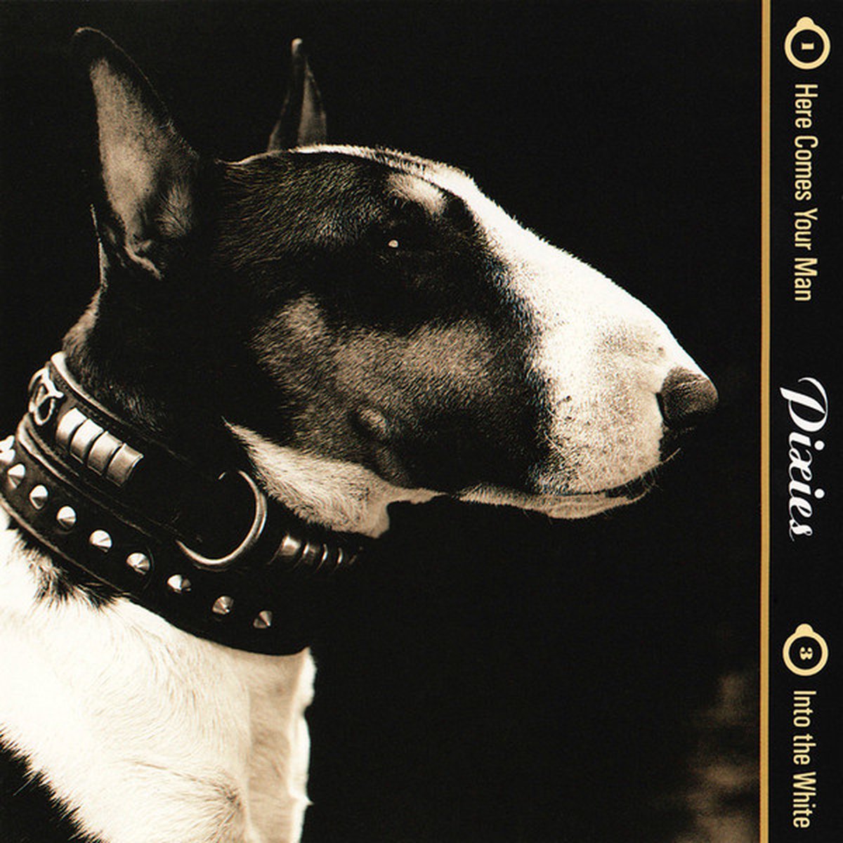 Pixies - Here Comes Your Man [US]