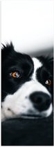 WallClassics - Poster Glanzend – Zwart/Witte Hond op de Bank - 30x90 cm Foto op Posterpapier met Glanzende Afwerking