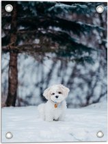 WallClassics - Tuinposter – Klein Wit Hondje in de Sneeuw - 30x40 cm Foto op Tuinposter  (wanddecoratie voor buiten en binnen)